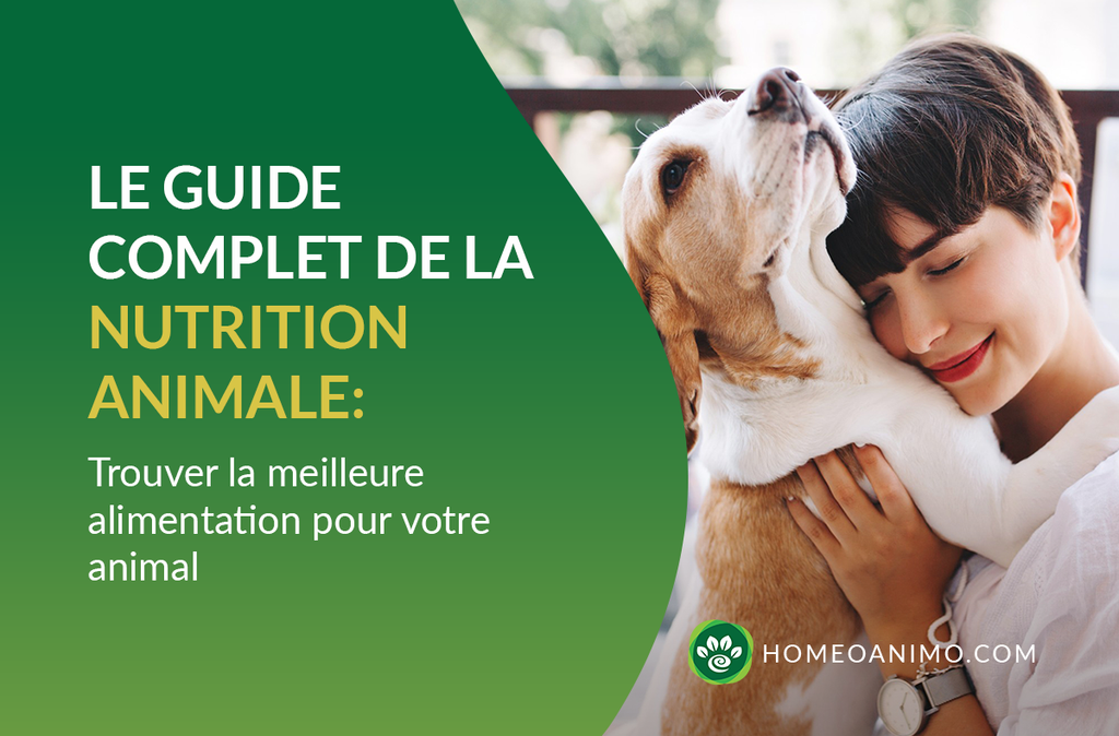Le guide complet de la nutrition animale : trouver la meilleure alimentation pour votre animal