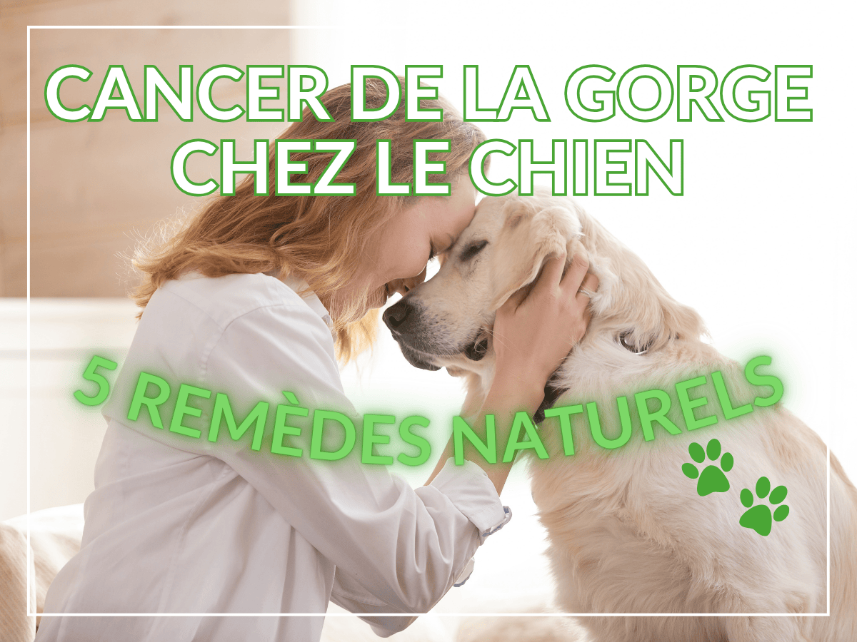 Propriétaire de chien qui caresse son chien atteint du cancer de la gorge. Il a besoin des conseils et remèdes naturels de cet article pour l'aider à combattre!