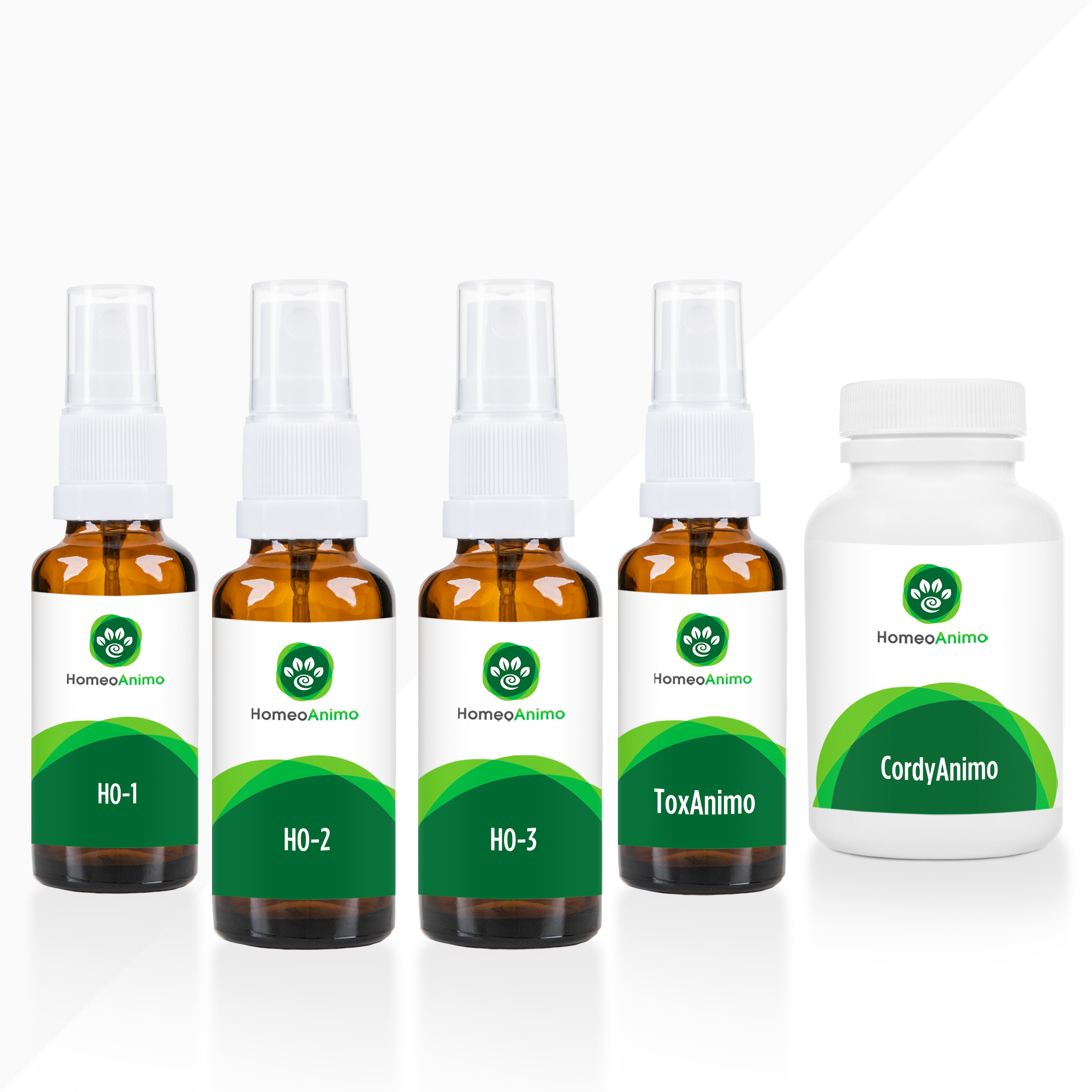 Détoxification Générale