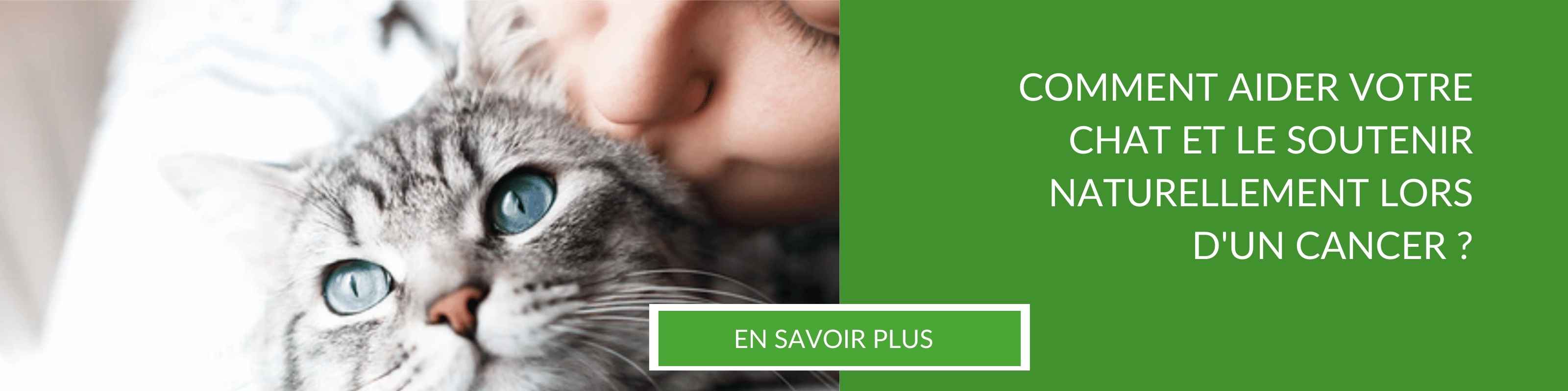 Plan rapproché d'une propriétaire d'un chat atteint d'un cancer qui donne un bisou à son chat en le collant dans ses bras. Lisez notre guide complet pour soutenir naturellement un chat atteint du cancer.