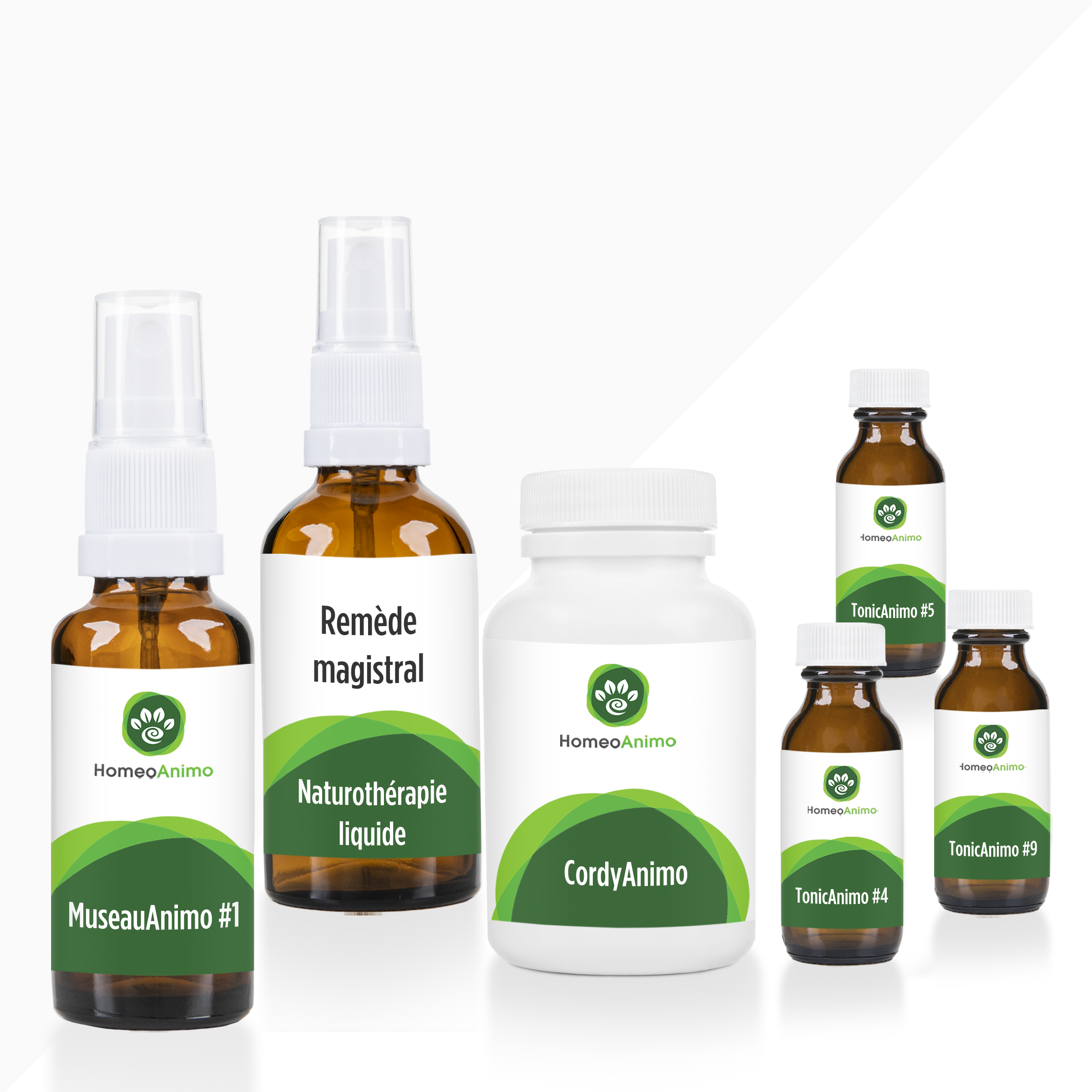 MuseauAnimo #1 - Sélection Platine