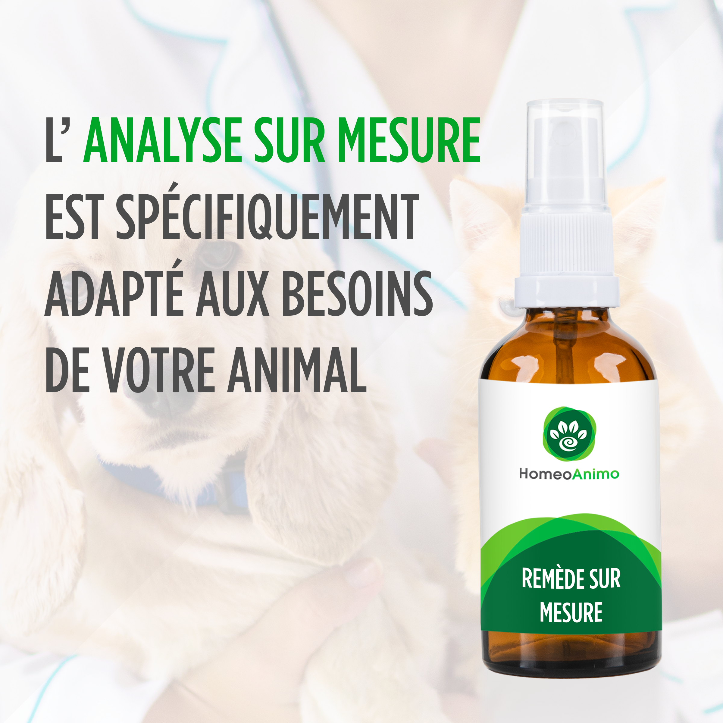 Analyse sur mesure (Homéopathie)