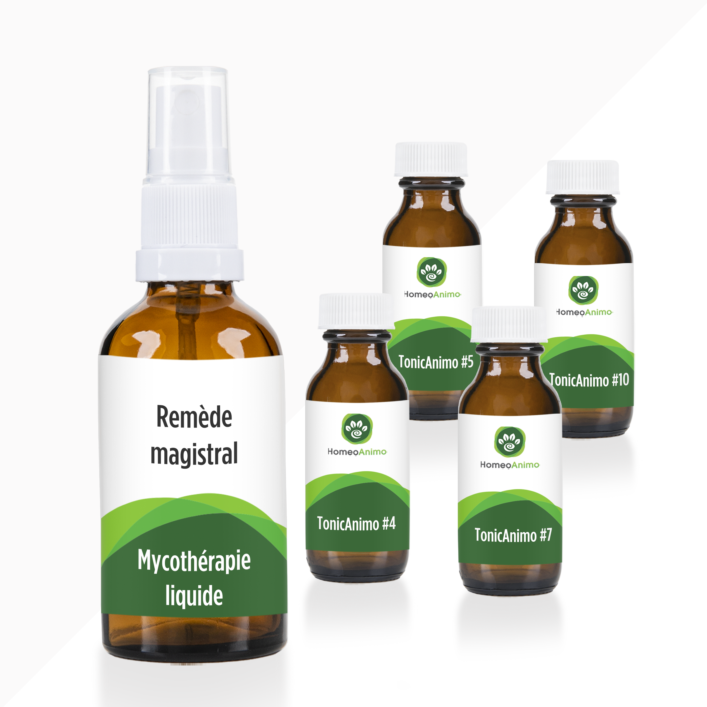 Magistral in Liquid Mycotherapy - Platinum Selection (Canada)