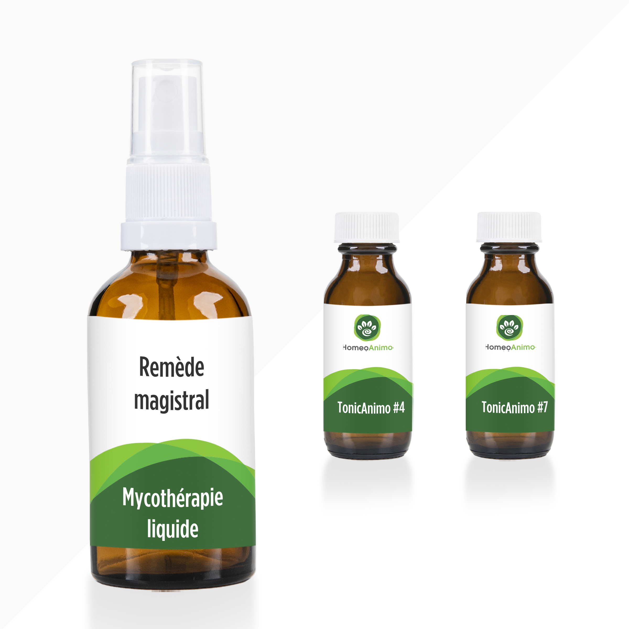 Magistral in Liquid Mycotherapy - Gold Selection (Canada)