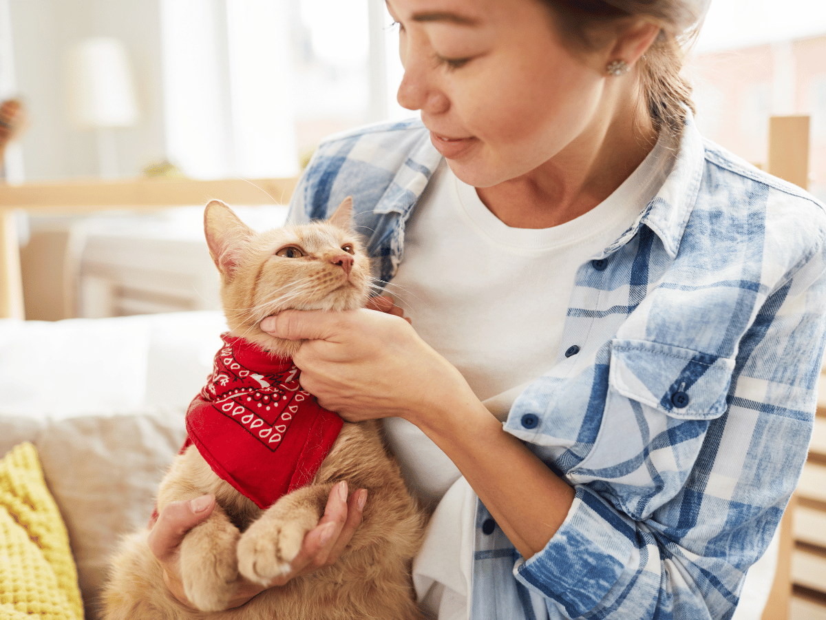 Une propriétaire d'un chat orange tient son chat dans ses bras. Ce chat atteint de conjonctivite a reçu un remède sur mesure des experts d'HomeoAnimo.