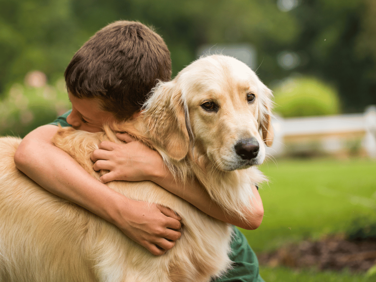 Un jeune garçon qui prend son chien golden retriever dans ses bras. Ce chien a besoin des remèdes naturels d'HomeoAnimo, administrables en "un spray, une seconde" pour traiter son épilepsie.