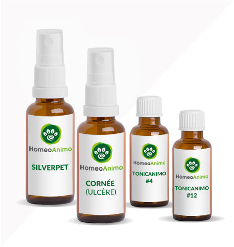 CORNÉE (ULCÈRE) - Sélection Or