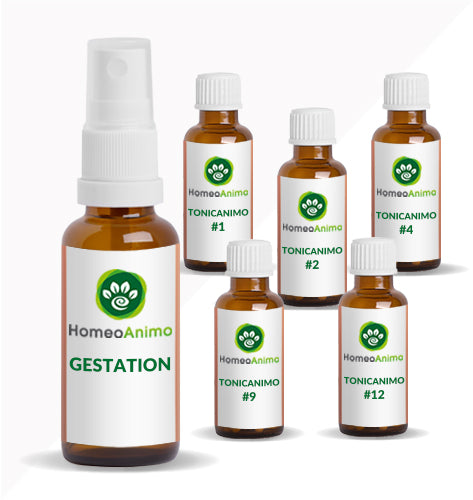 GESTATION - Sélection Platine