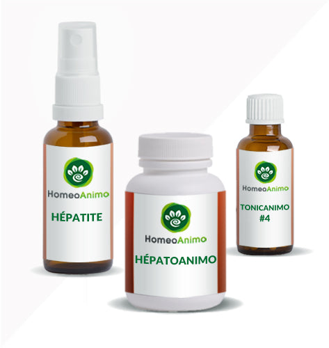HÉPATITE - Sélection Or