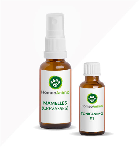 MAMELLES (CREVASSES) - Sélection Or
