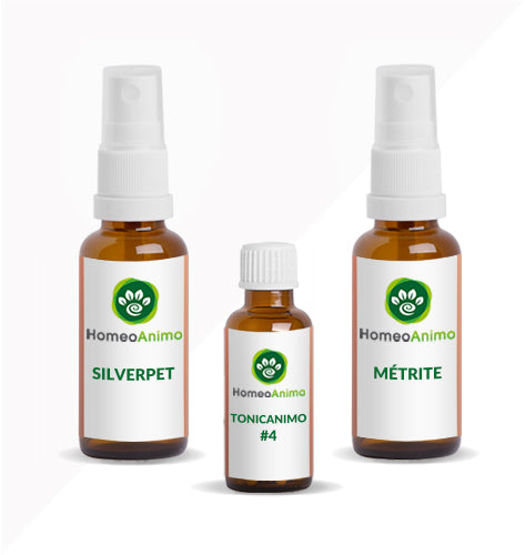 MÉTRITE - Sélection Or