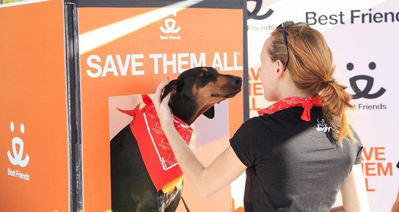 COMMENT AIDER LES ORGANISMES QUI PROTÈGENT LES ANIMAUX DANS VOTRE LOCALITÉ?