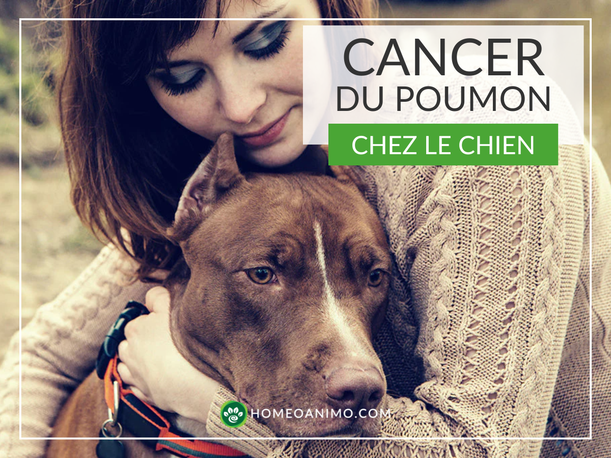 Une femme enlaçant tendrement son chien brun, illustrant le soutien émotionnel lors d'un diagnostic de santé. Texte superposé : "CANCER DU POUMON CHEZ LE CHIEN" avec le logo HomeoAnimo.com.