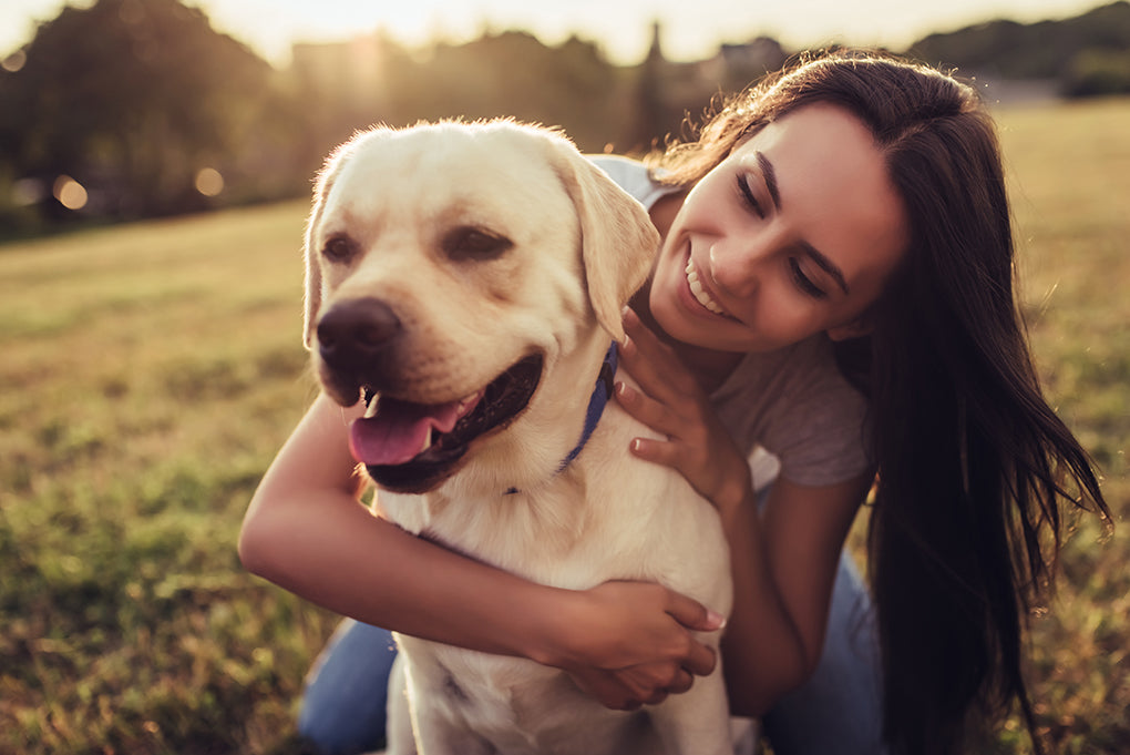 En quoi faire appel à un éducateur canin professionnel peut changer votre vie