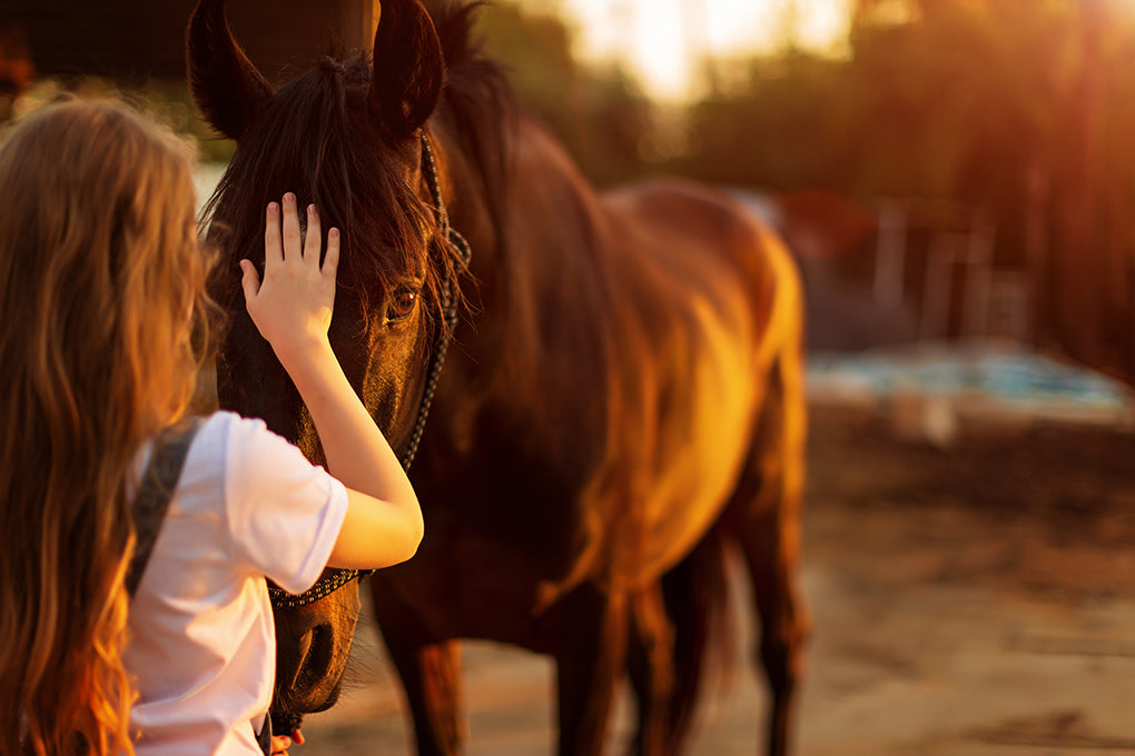 LA FOURBURE DU CHEVAL : À PRENDRE AU SÉRIEUX