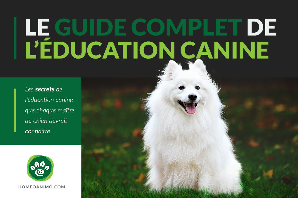 Le Guide complet de l’éducation canine : les secrets de l'éducation canine que chaque maître de chien devrait connaître