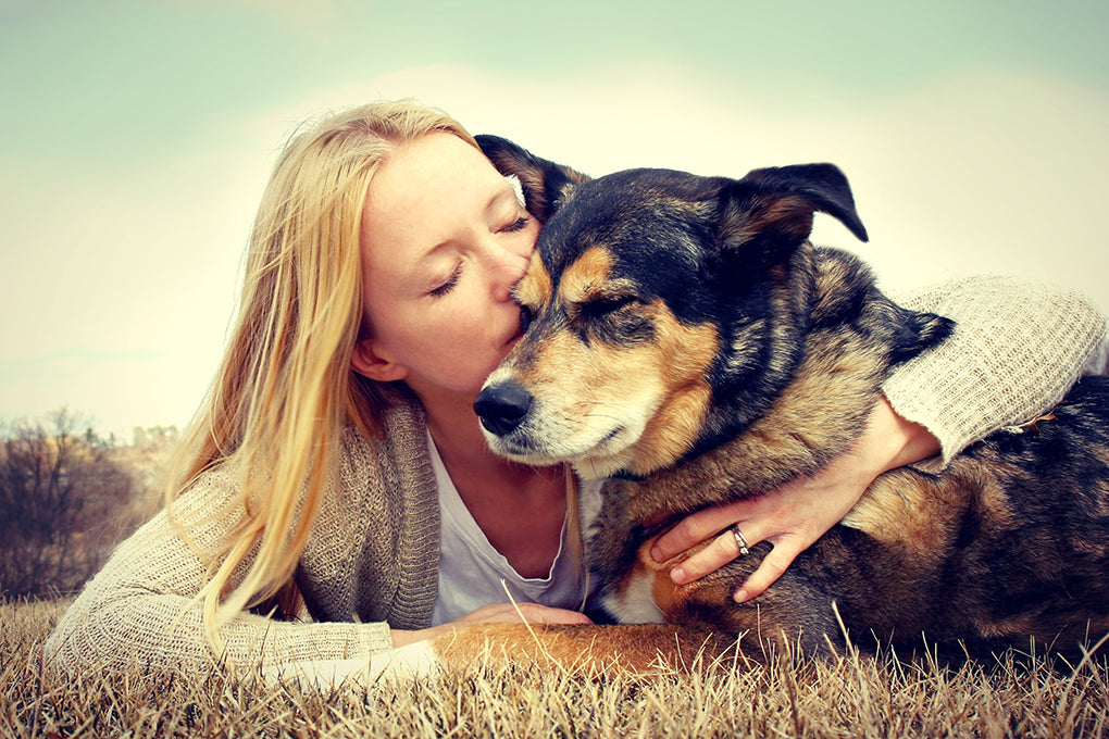 Qu'est-ce que le lymphome chez les chiens ?