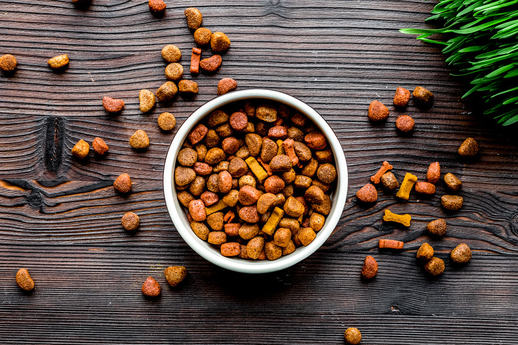 L'alimentation de vos animaux - Les grosses erreurs à éviter