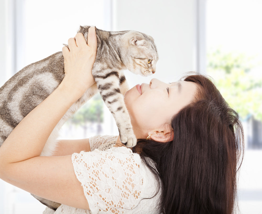 5 moyens simples de prévenir la rage chez le chat 2023