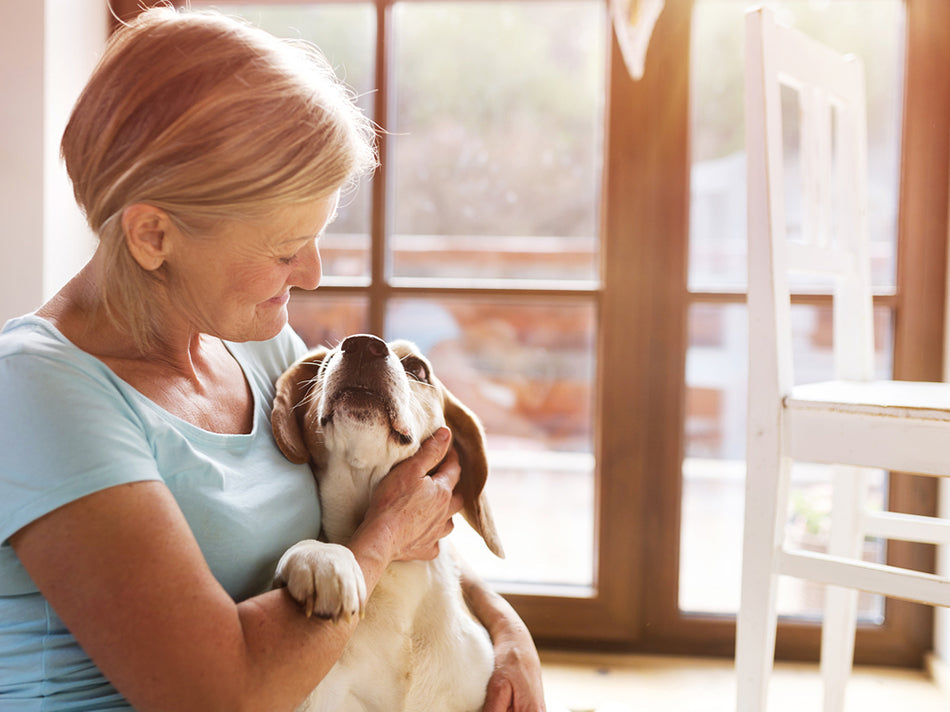 Comment faire face au tartre de mon animal ?