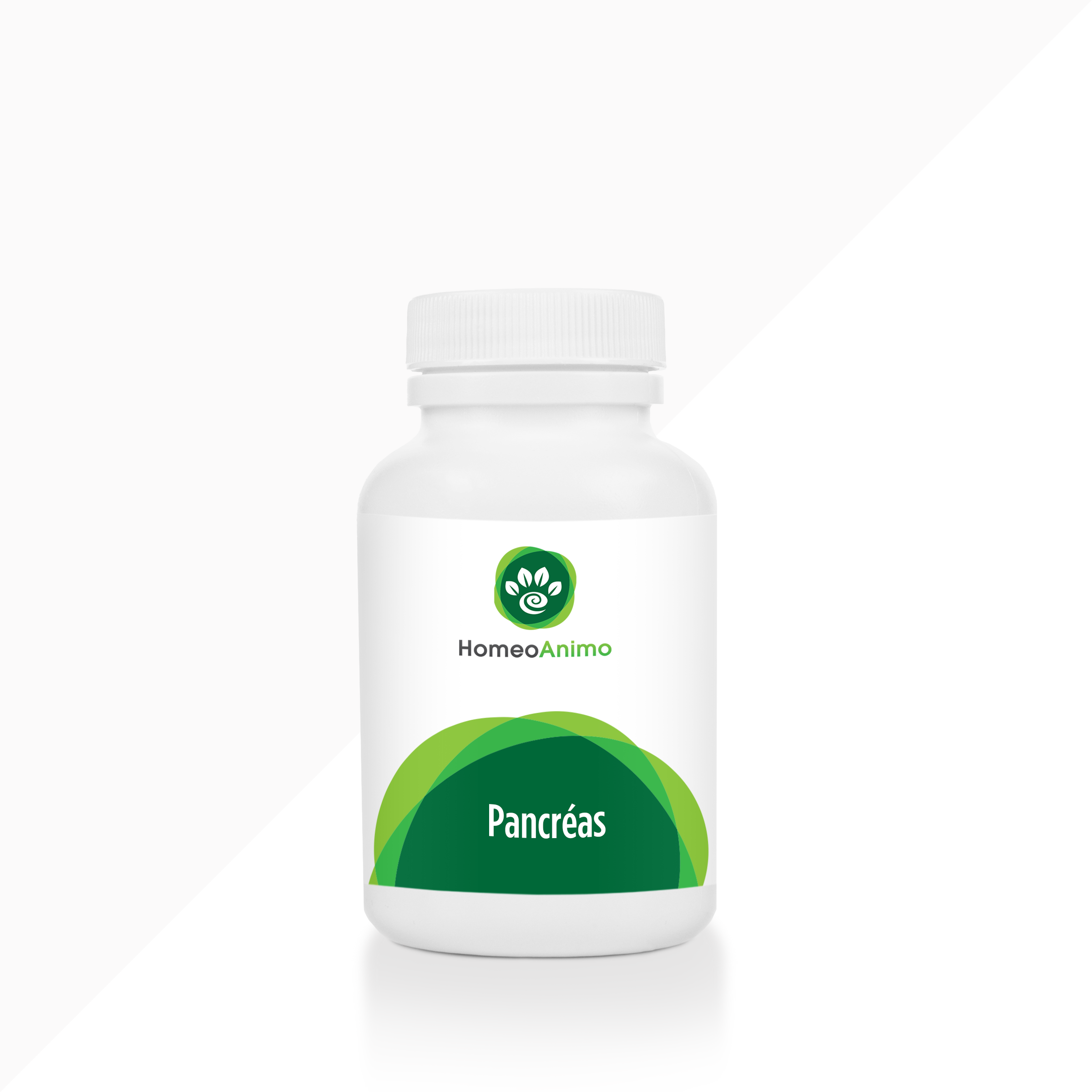 PANCRÉAS