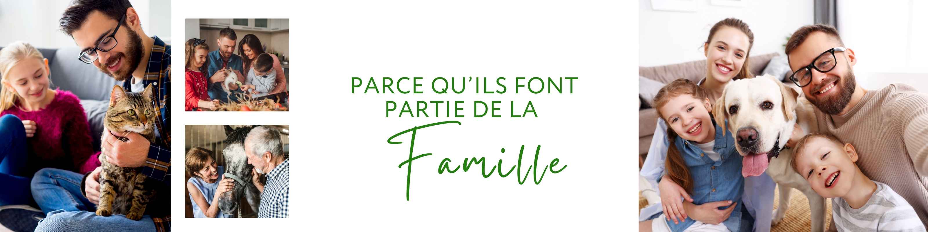 Plusieurs familles heureuses avec leurs animaux de compagnie. Ces familles ont constaté une amélioration de la santé de leur compagnons en utilisant les remèdes naturels d'HomeoAnimo.