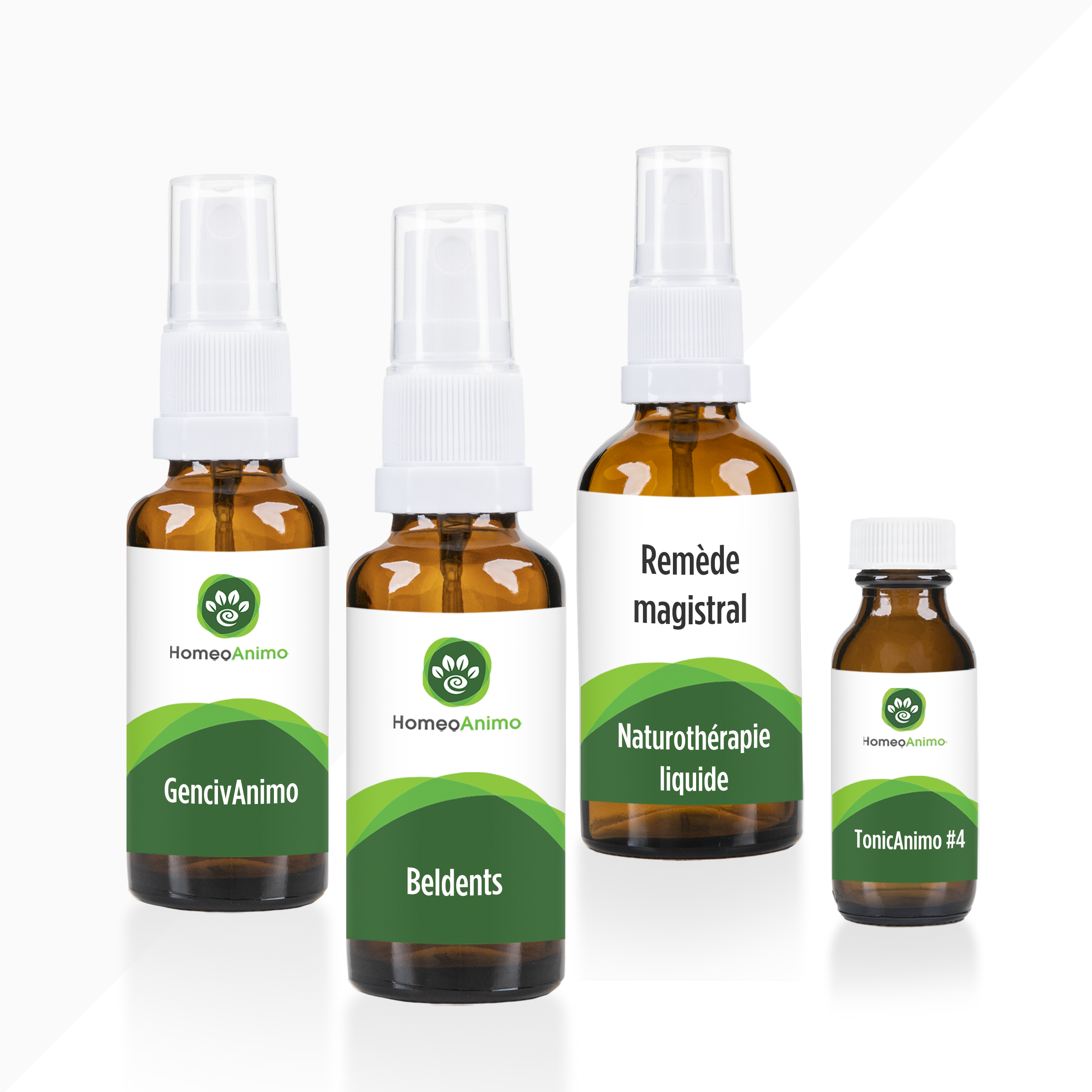 GencivAnimo -  Kit Supérieur