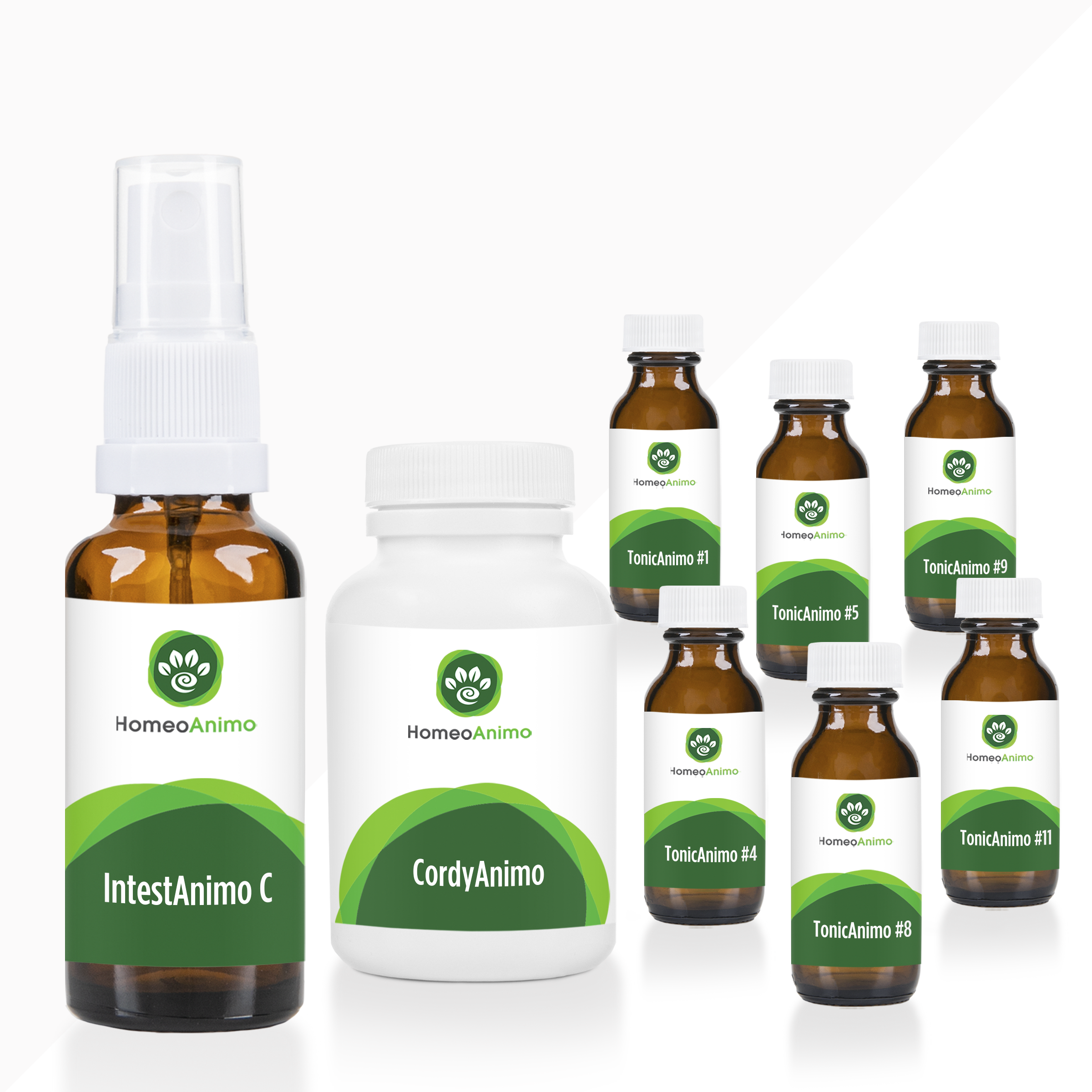 IntestAnimo C (Constipation) - Sélection Platine