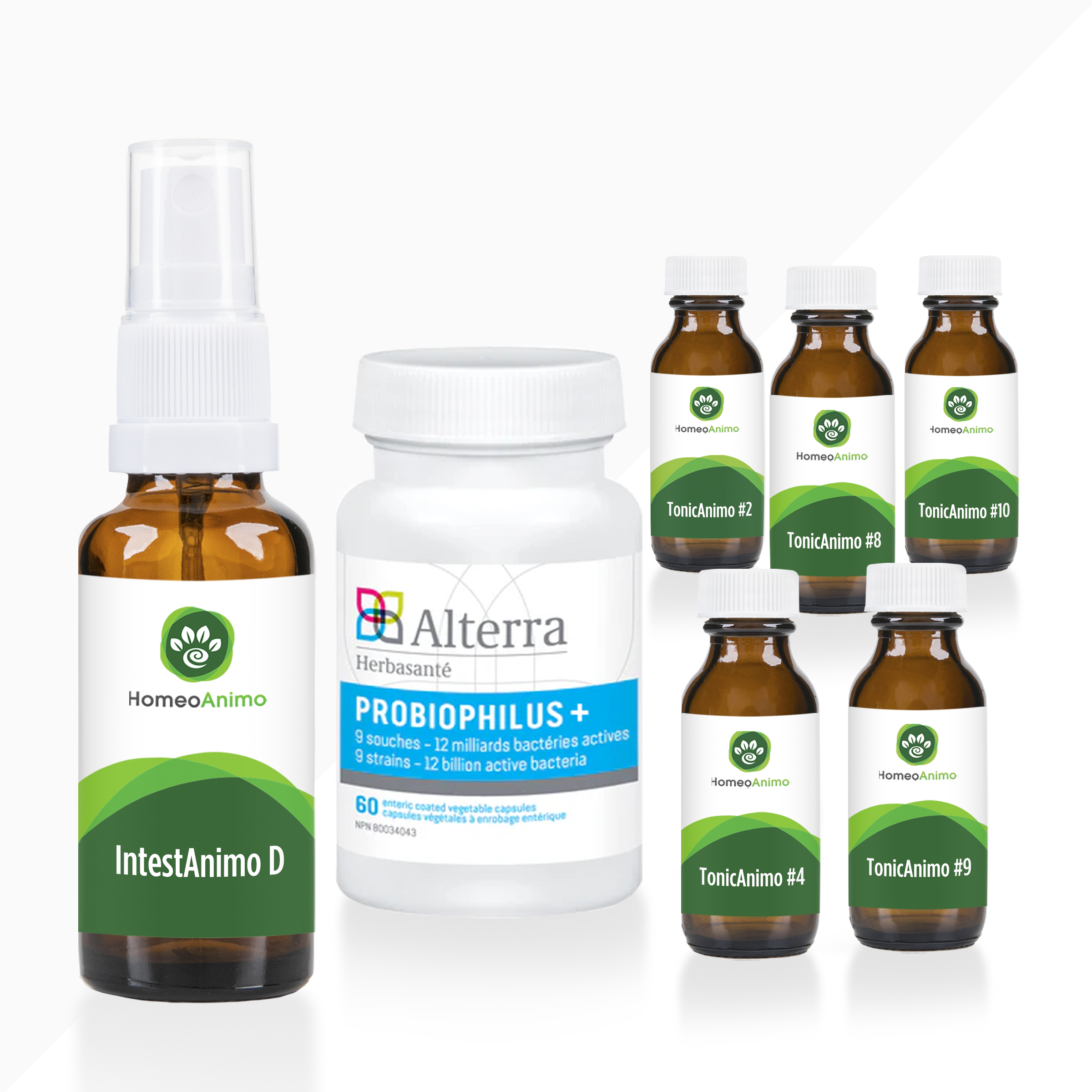 IntestAnimo D -  Kit Optimal