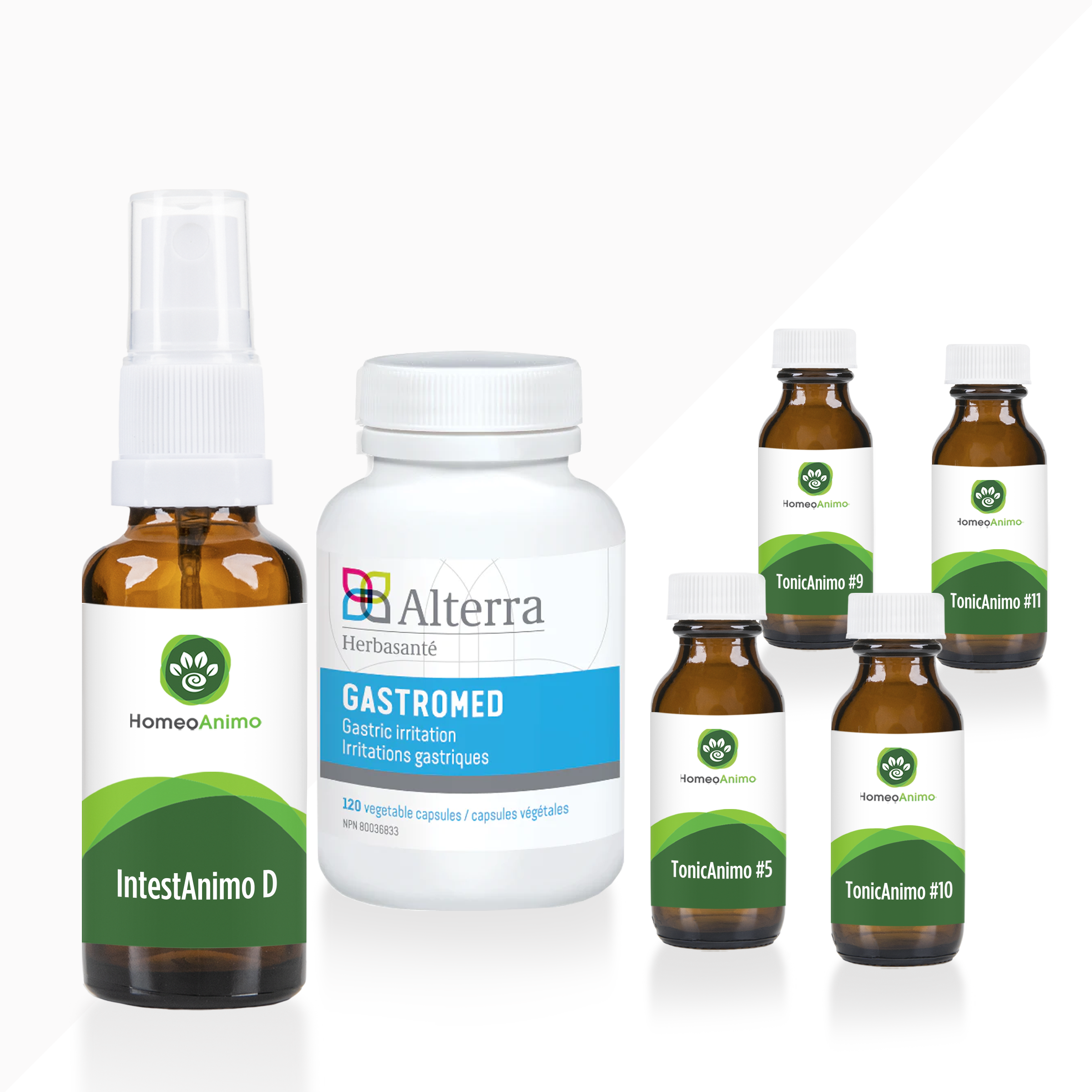 IntestAnimo D - Kit Optimal