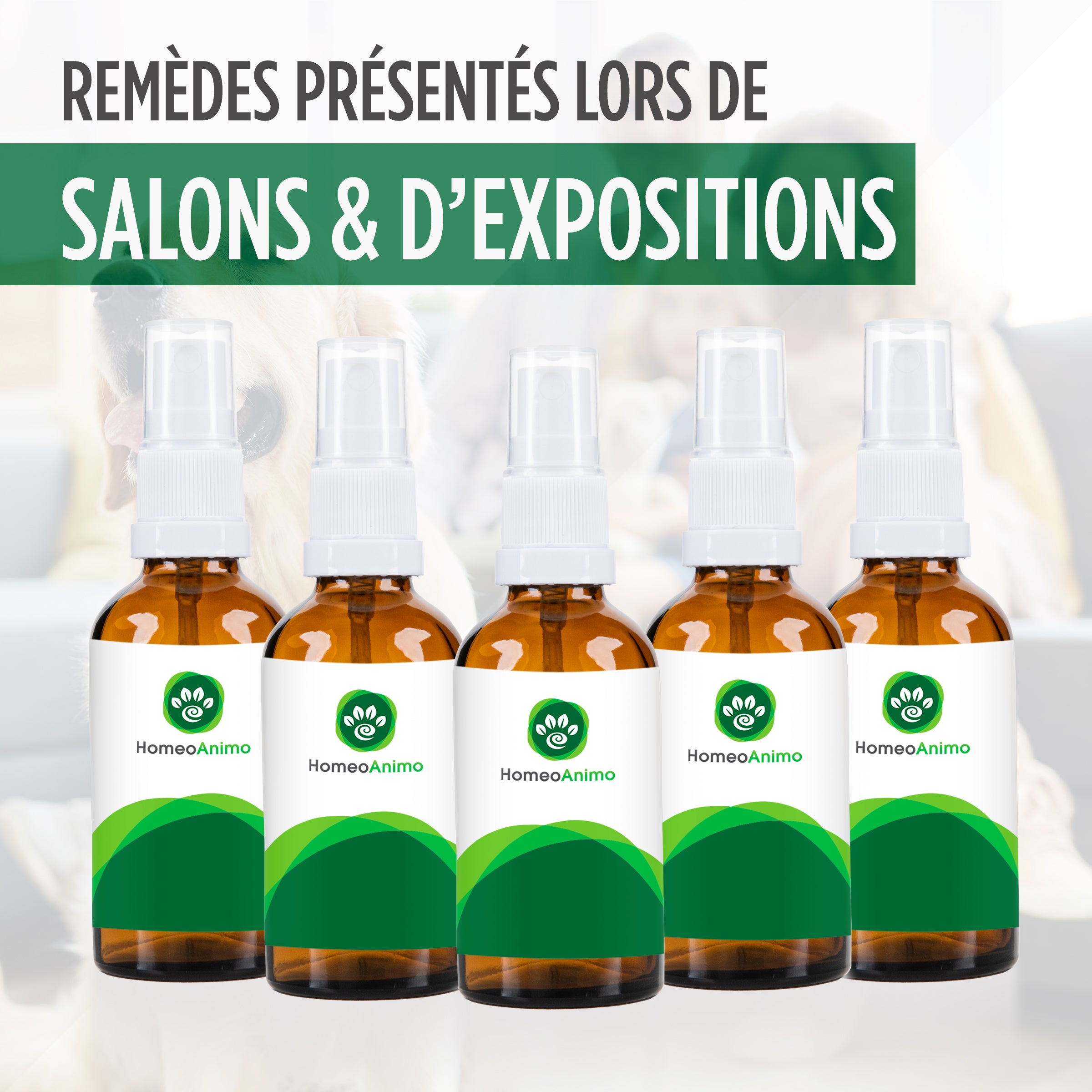 Remèdes présentés lors de salons et d'expositions