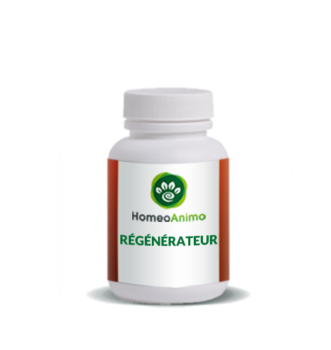 RÉGÉNÉRATEUR