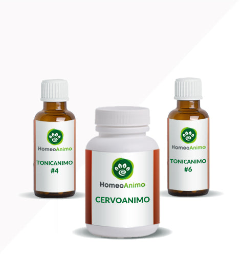 CERVOANIMO - KIT OPTIMAL