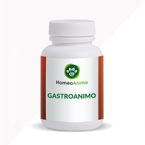 GASTROANIMO