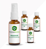 PROSTATE (HYPERTROPHIE) - KIT OPTIMAL