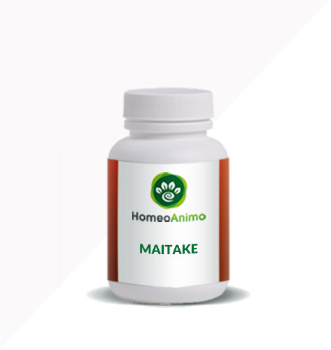 Extrait De Champignon Maitake 500mg - Tecepec - Soutien Immunitaire & énergie - 60 Capsules